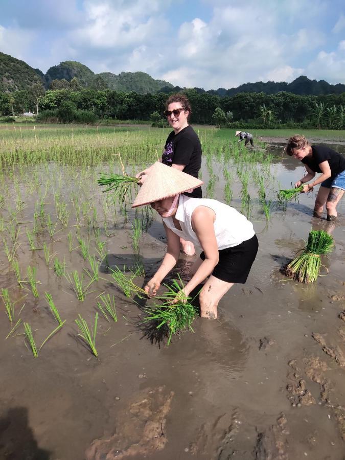 Tam Coc Lotus Flower Homestay Ninh Binh Zewnętrze zdjęcie