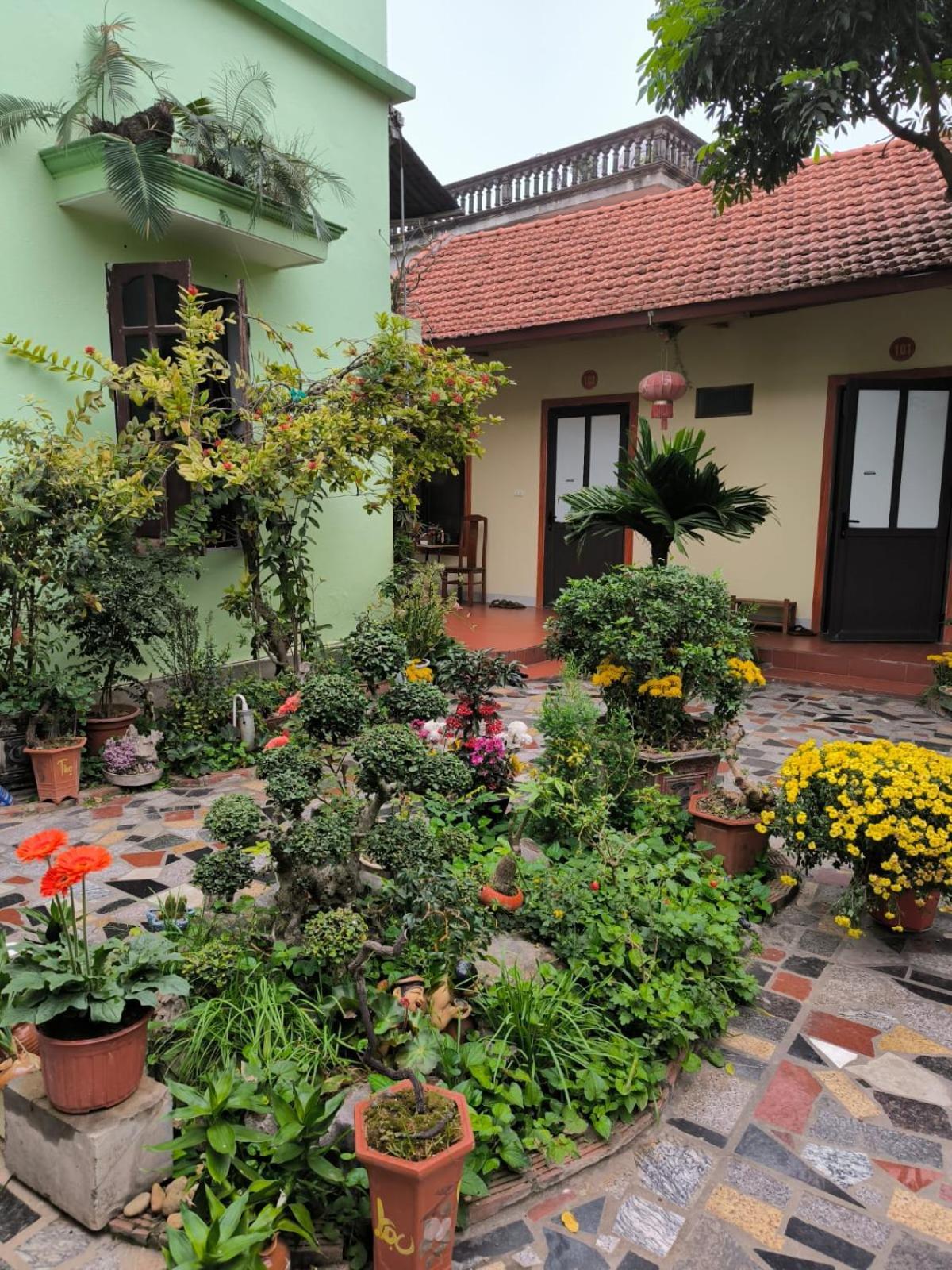 Tam Coc Lotus Flower Homestay Ninh Binh Zewnętrze zdjęcie