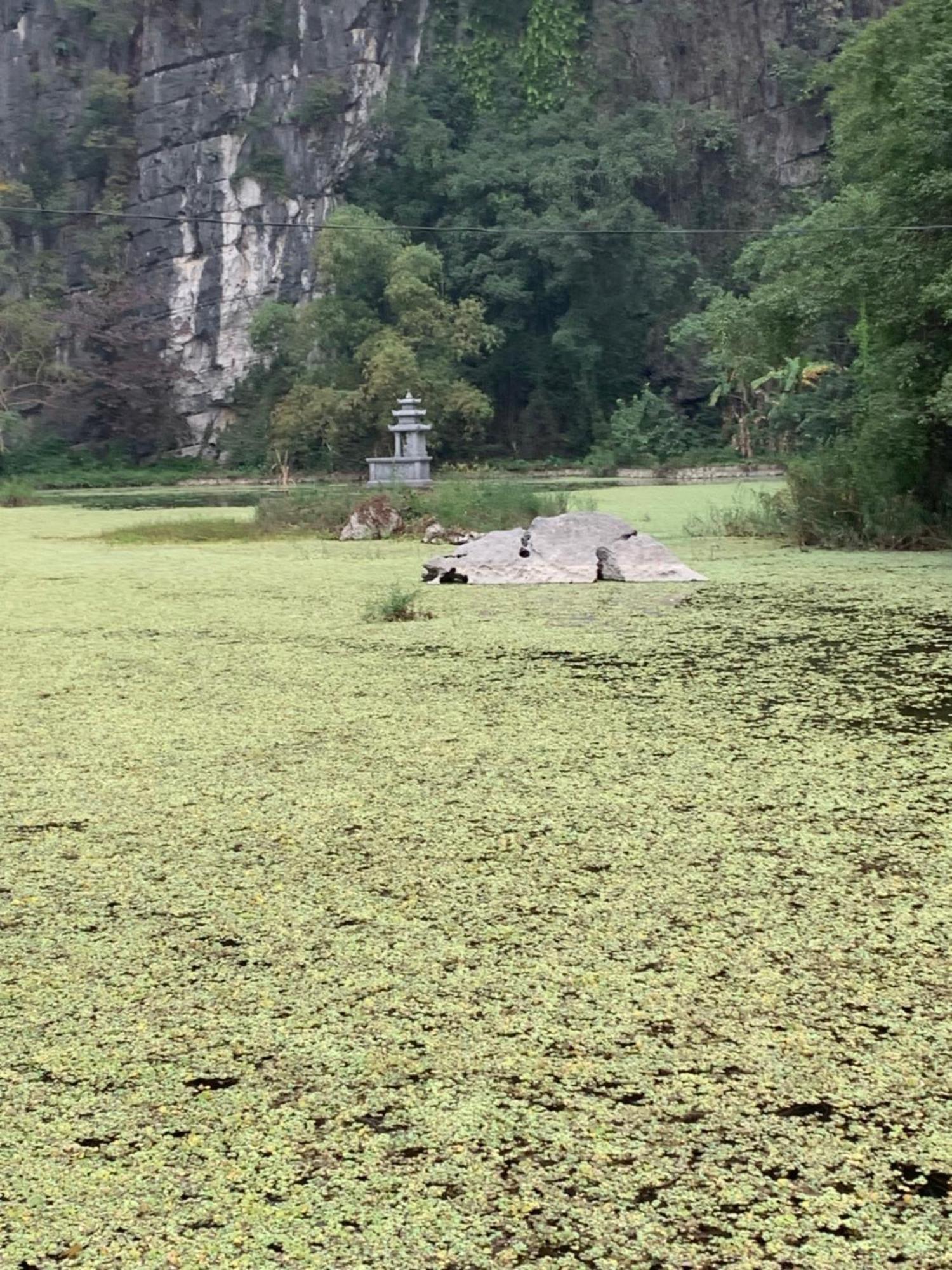 Tam Coc Lotus Flower Homestay Ninh Binh Zewnętrze zdjęcie
