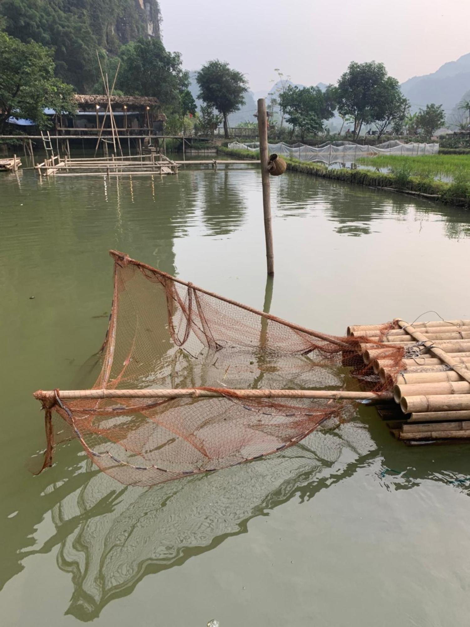 Tam Coc Lotus Flower Homestay Ninh Binh Zewnętrze zdjęcie